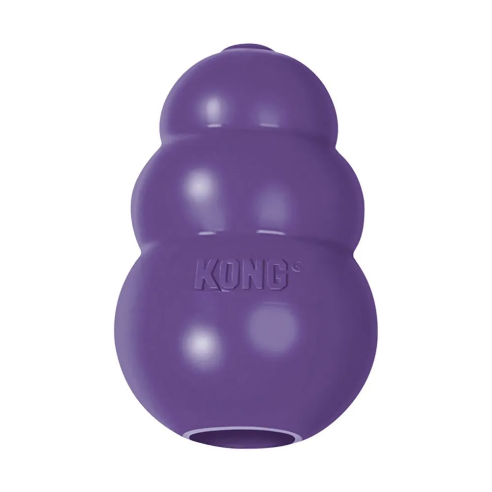 20% OFF: Kong® Senior Dog Toy
