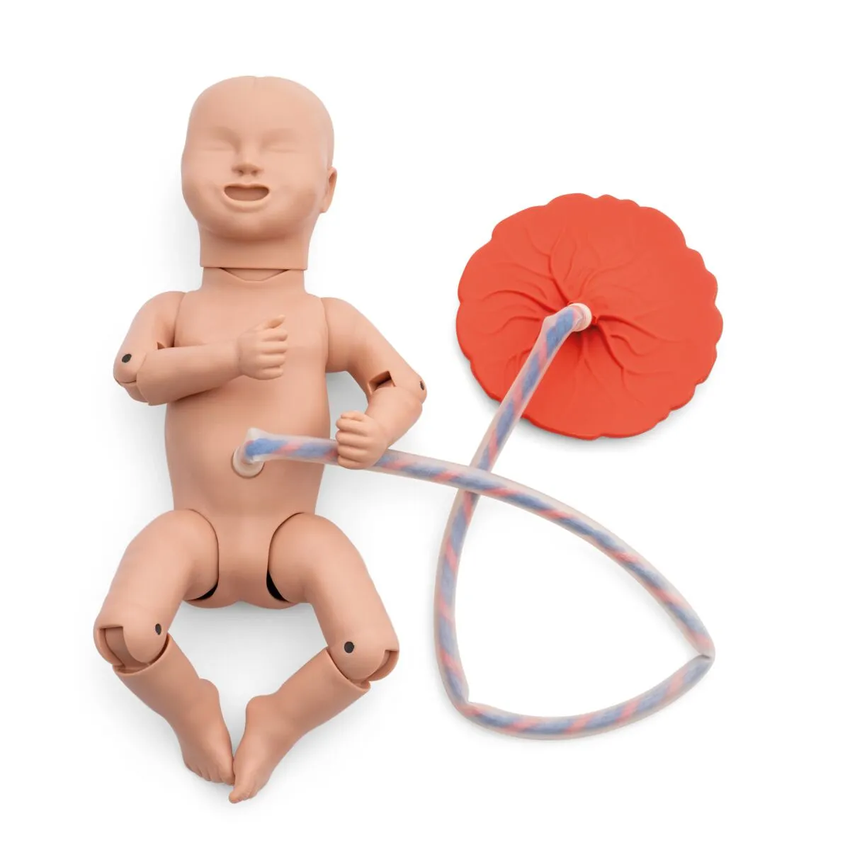 3B Birthing Simulator Basic
