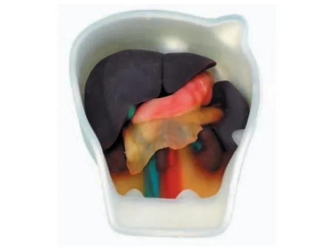 Abdominal Intraoperative and Laparoscopic Ultrasound - IOUSFAN