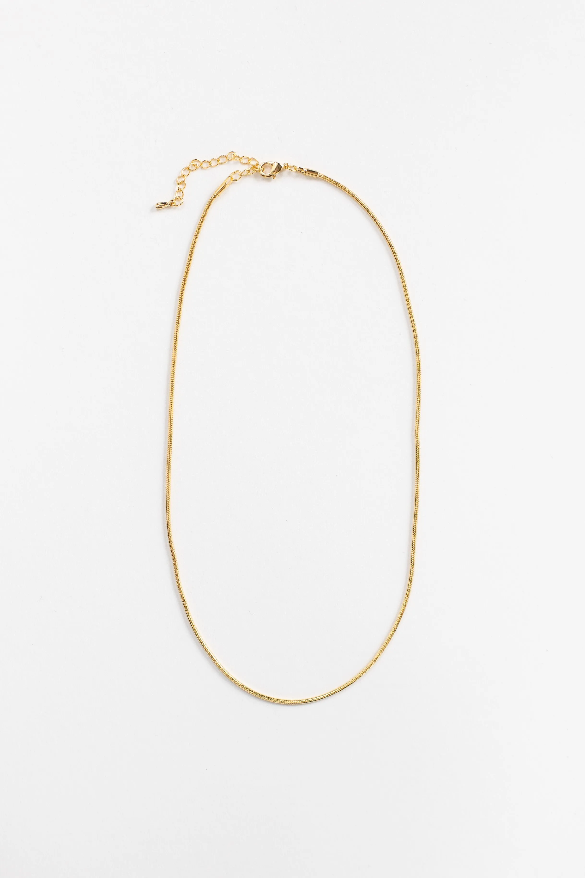 Cove Snake Chain Necklace