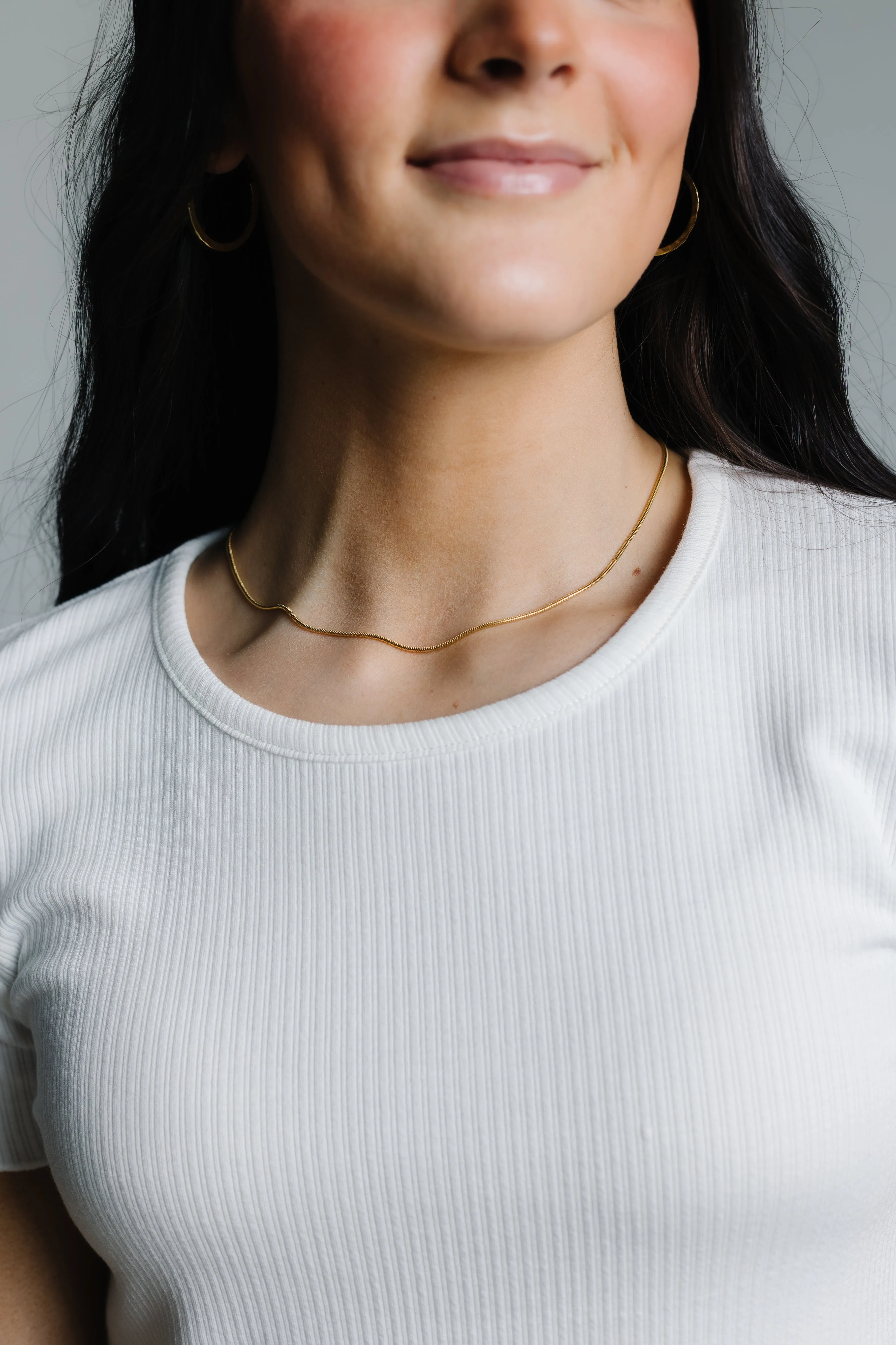 Cove Snake Chain Necklace