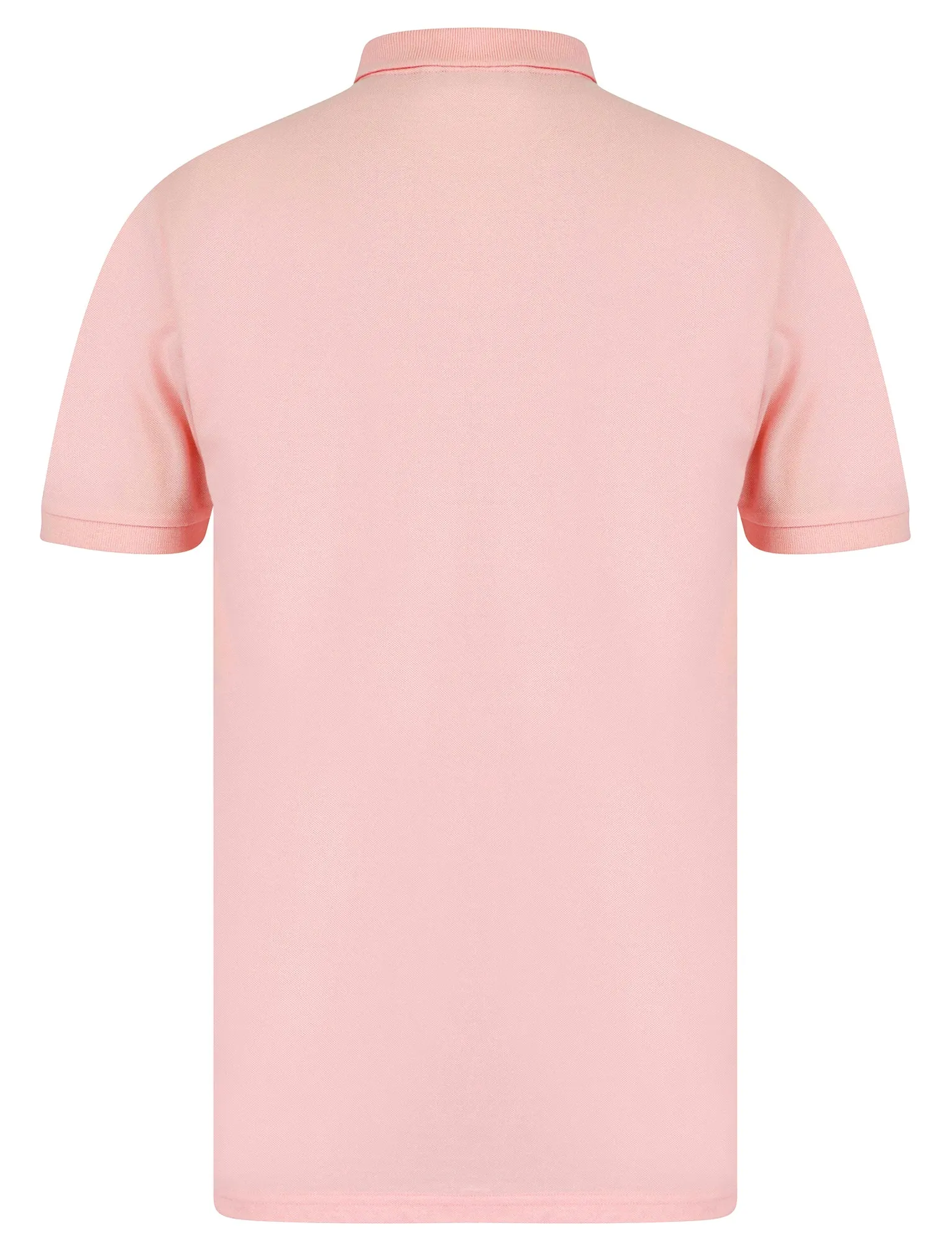 Hayden Yarn Dyed Stripe Cotton Pique Polo Shirt in Pinkesque - Tokyo Laundry