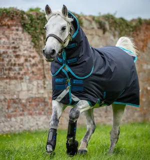 HW Amigo Pony Bravo 12 Plus Medium (250g)