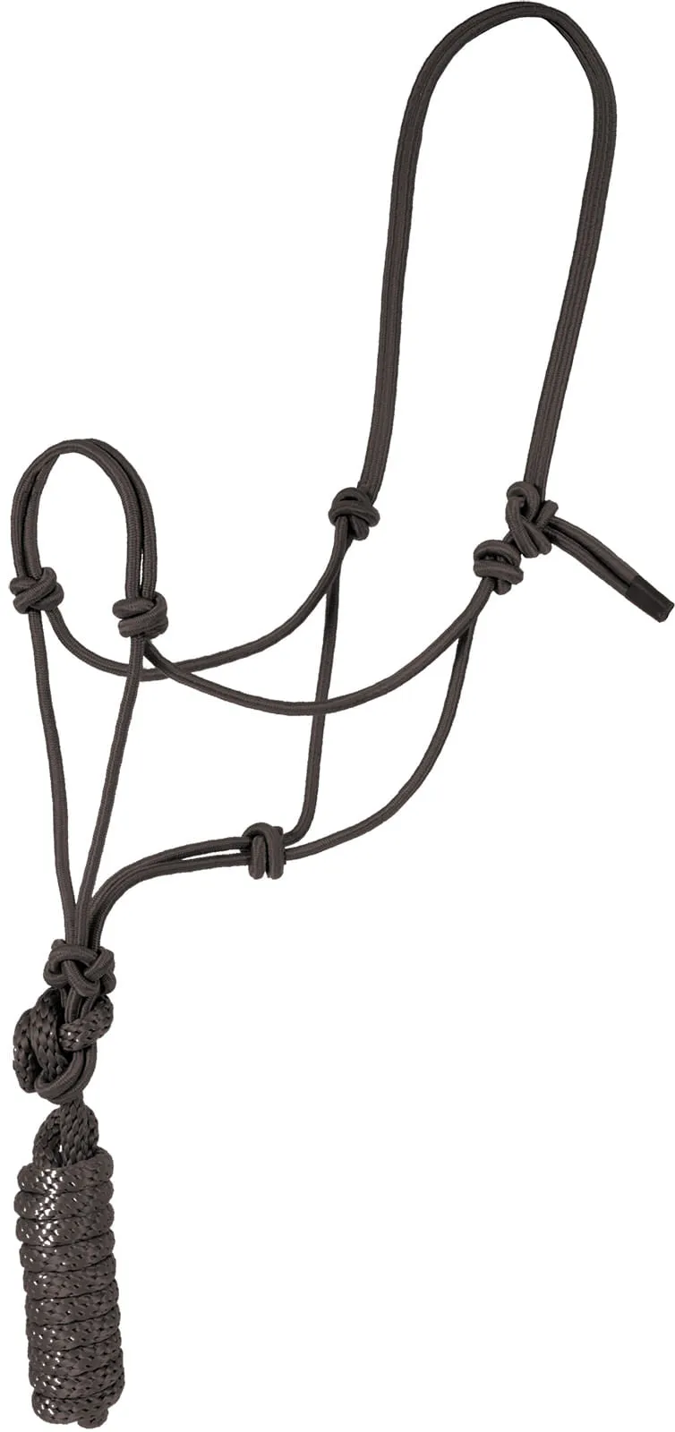 Jeffers Rope Halter with Lead, 6 pk