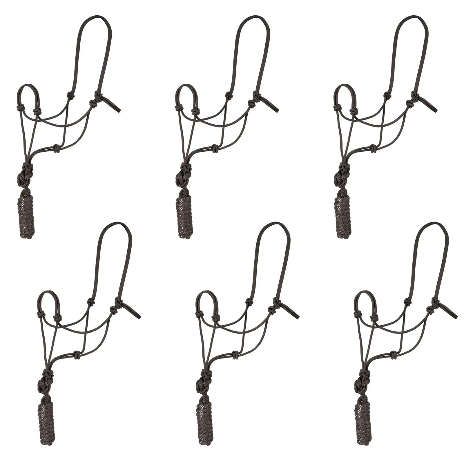 Jeffers Rope Halter with Lead, 6 pk