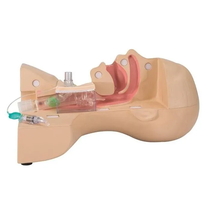 Koken Tracheostomy Management Simulator