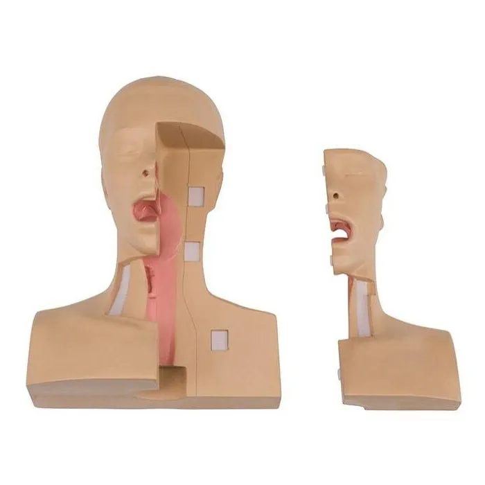 Koken Tracheostomy Management Simulator