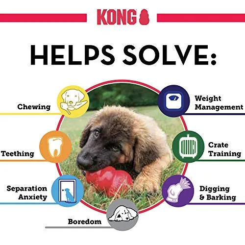 KONG Gentle Natural Rubber Dog Toy - Chew, Chase & Fetch - For Medium Dogs