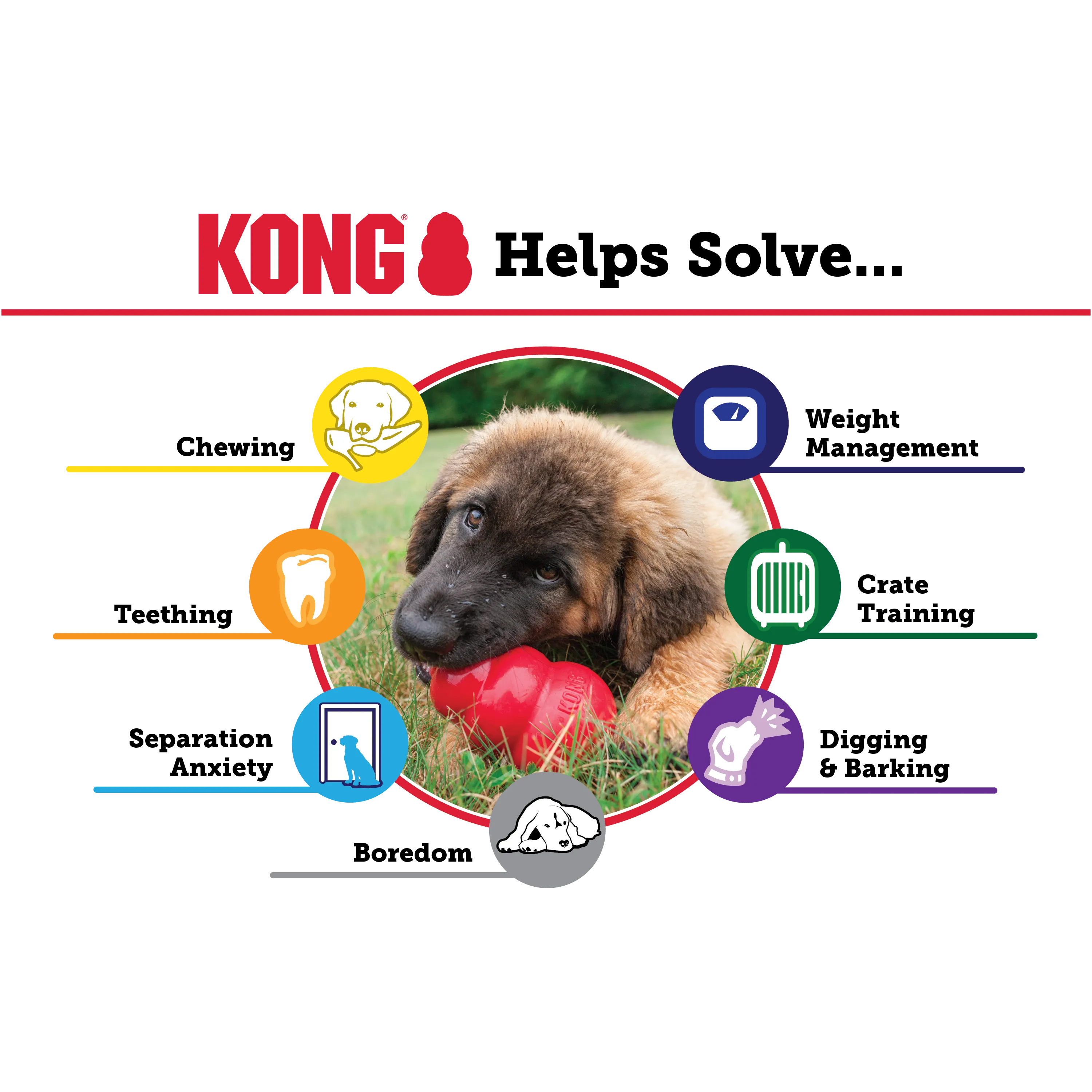 Kong - KONG Senior - Small