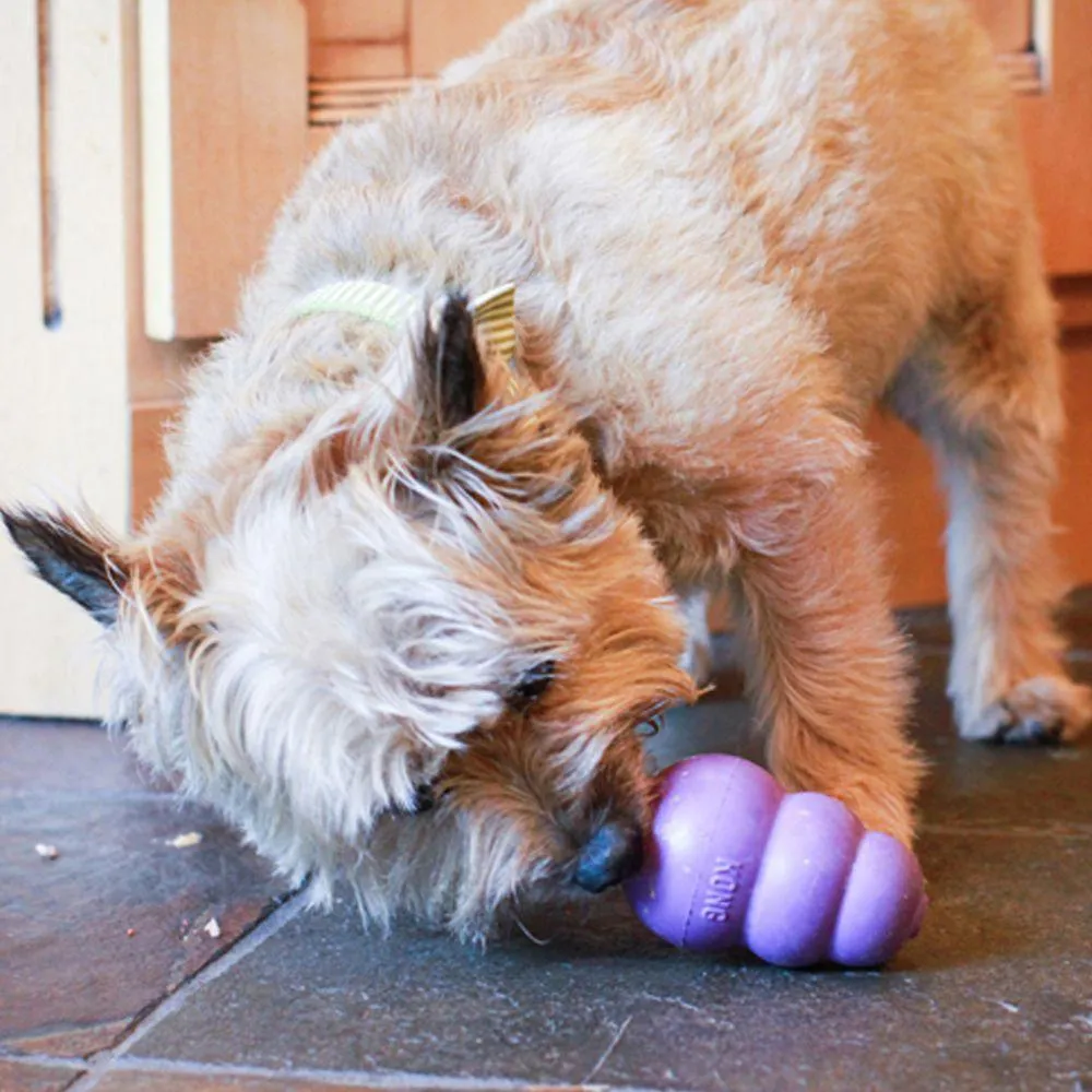 KONG Senior Kong Dog Toy (Medium)