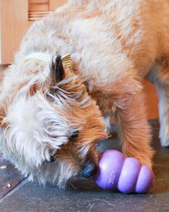 KONG Senior - Purple