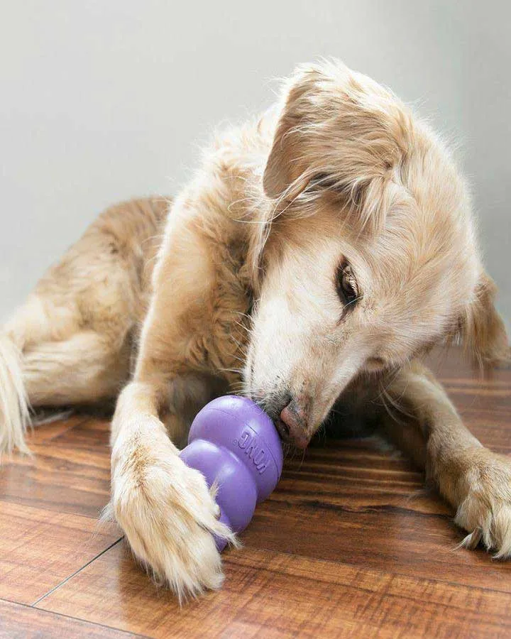 KONG Senior - Purple
