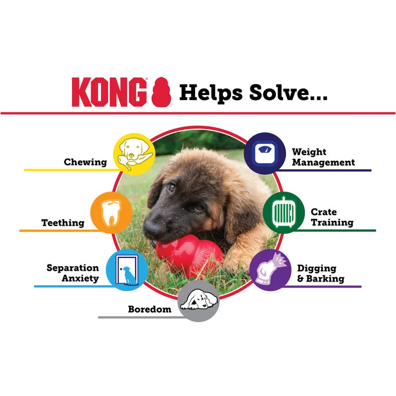 KONG Senior