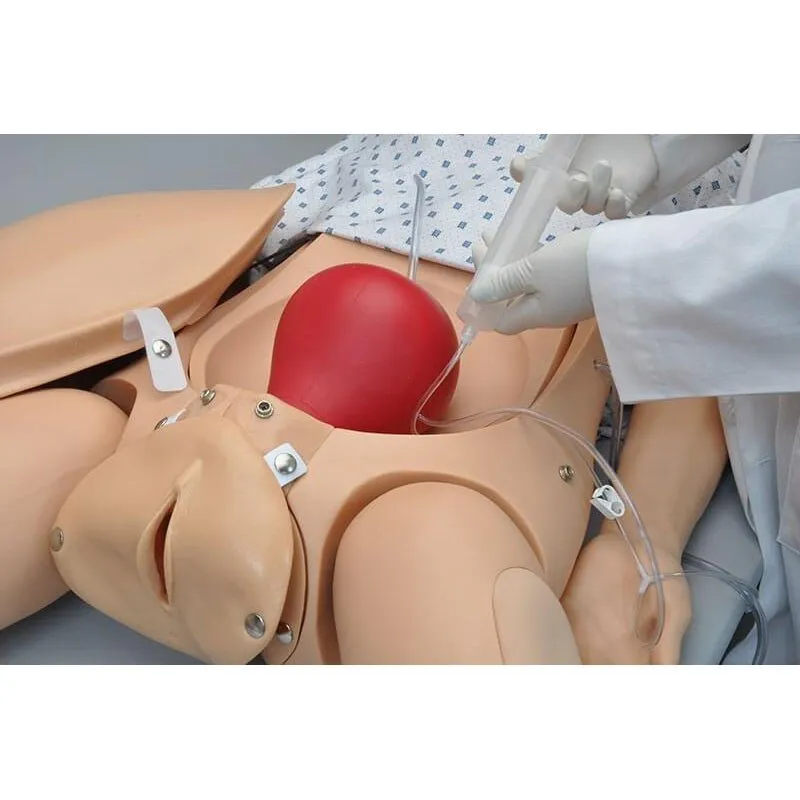 NOELLE® Maternal Birthing Simulator, Light