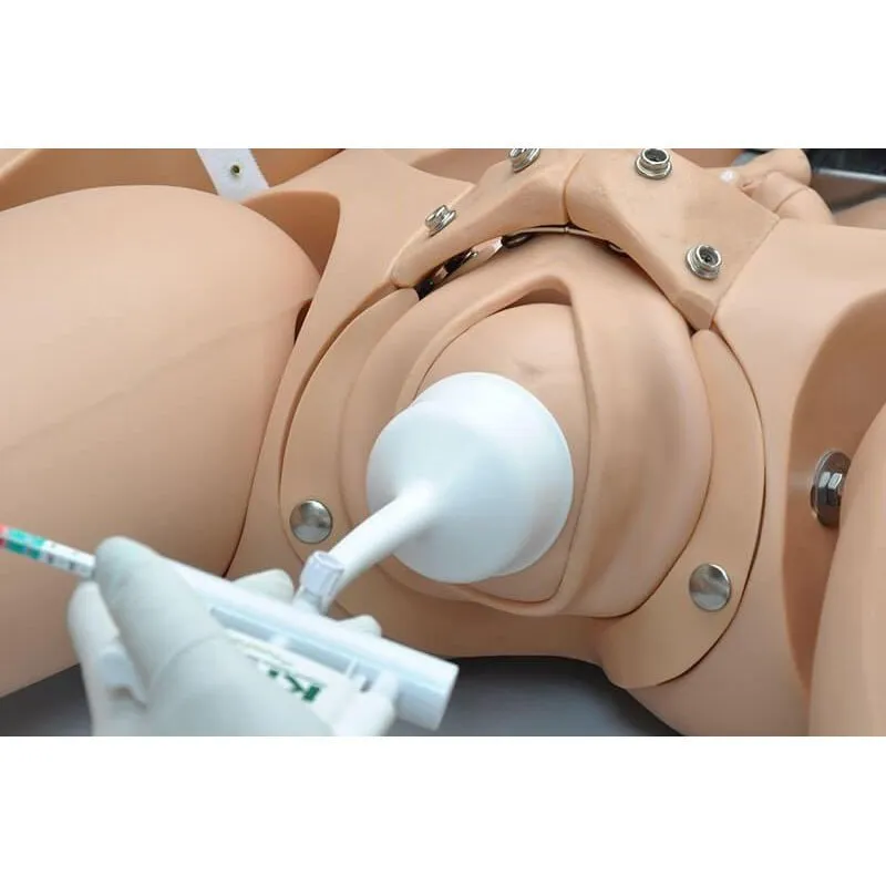 NOELLE® Maternal Birthing Simulator, Light