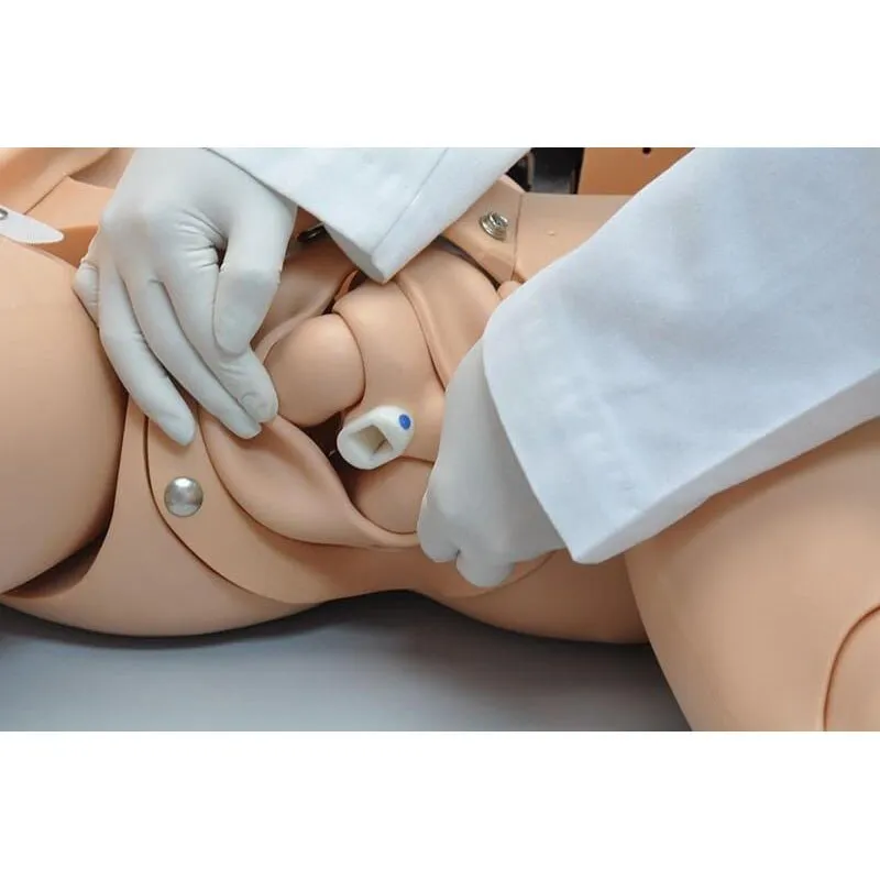 NOELLE® Maternal Birthing Simulator with Resuscitation Neonatal, Light