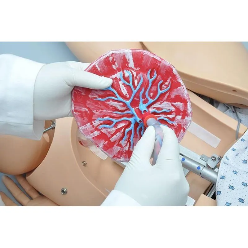 NOELLE® Maternal Birthing Simulator with Resuscitation Neonatal, Light