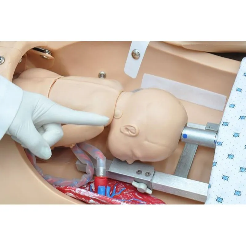 NOELLE® Maternal Birthing Simulator with Resuscitation Neonatal, Medium