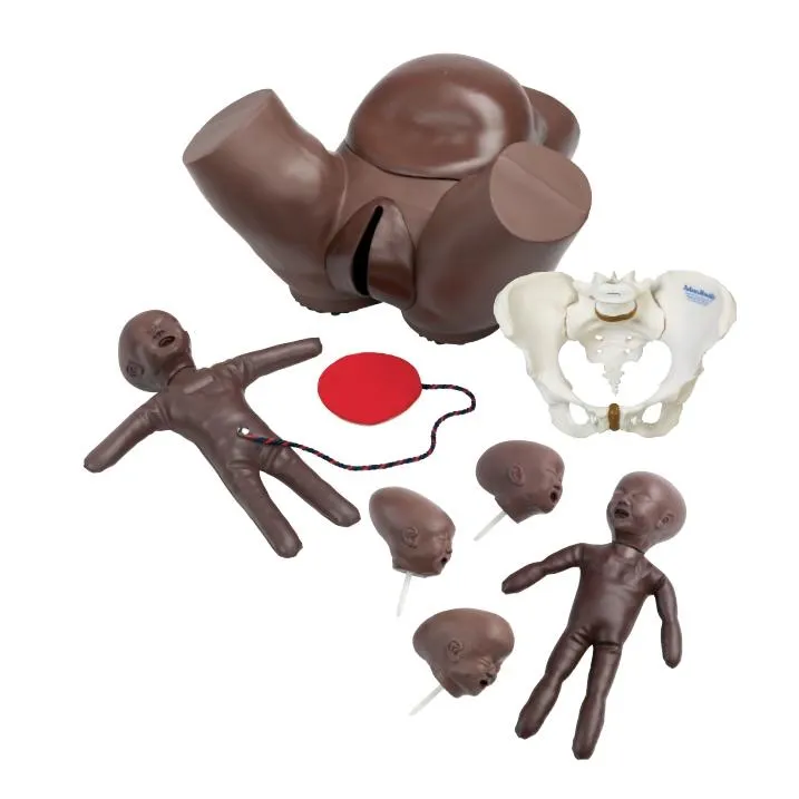 Obstetric Phantom Set