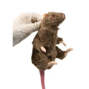 Squeekums Rat Manikin