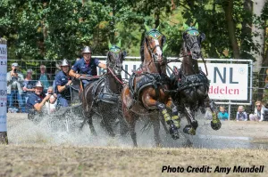 Zilco Elite Team Harness