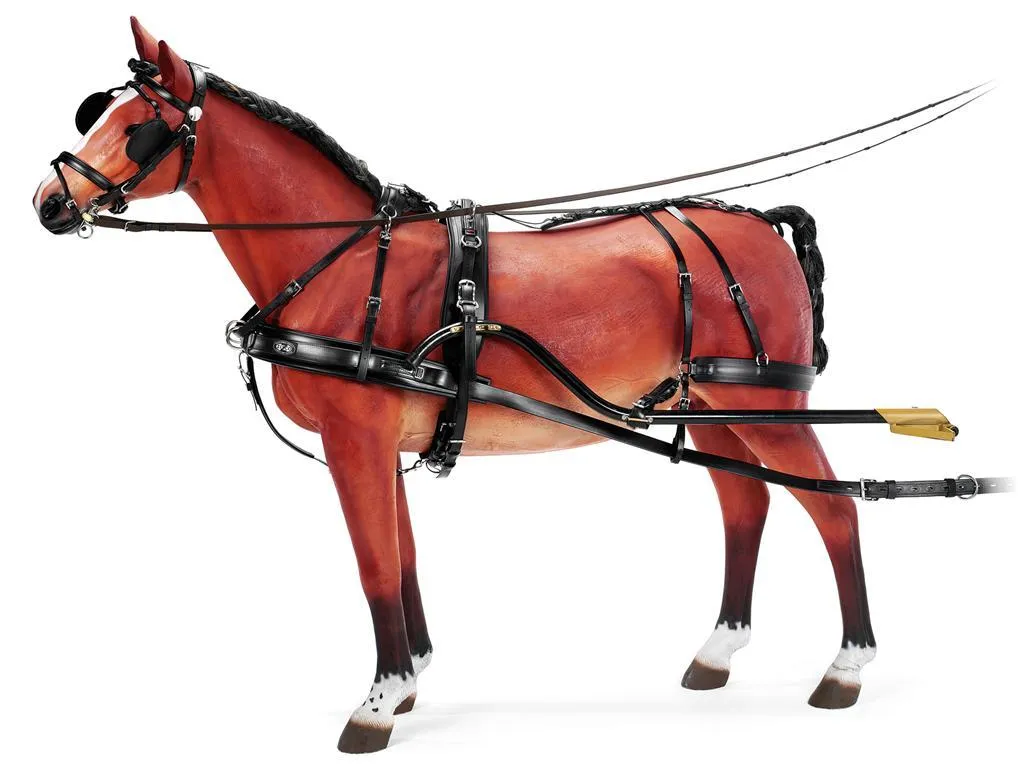 Zilco ZGB Single Harness